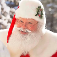 Santa Claus, The Mitten State Santa