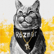 Reznor The Cat