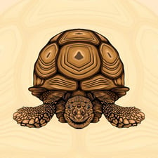 The Tortoise whisperer - Creators - Profile Pic