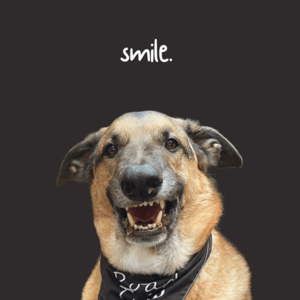 Django Smiles - Creators - Profile Pic