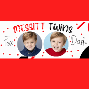 Messitt Twins - Fox & Dash - Creators - Profile Pic