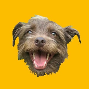 Bastian the Talking Terrier - Creators - Profile Pic