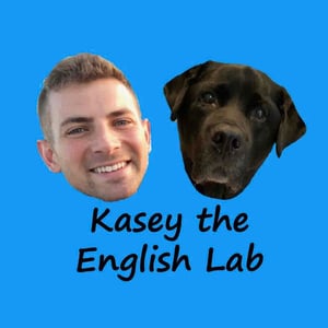 Kasey The English Lab - Creators - Profile Pic