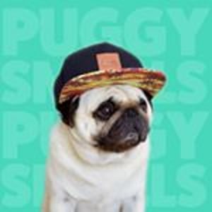 Puggy Smalls - Creators - Profile Pic