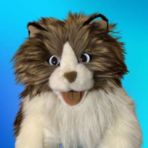 The Talking Cat Puppet - Creators - Profile Pic