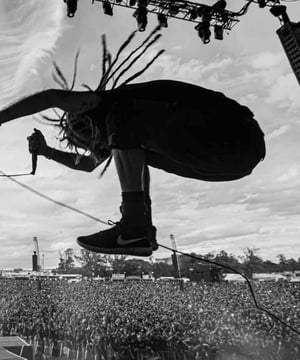 Photo of D Randall Blythe, click to book