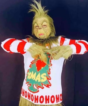 Photo of The Grinch, click to book