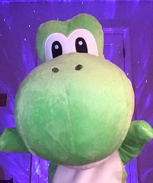 Photo of Yoshi Puppet, click to book