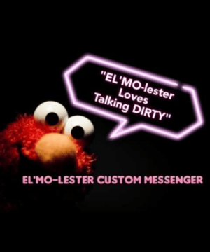 Photo of EL'MO-LESTER Custom Messenger, click to book