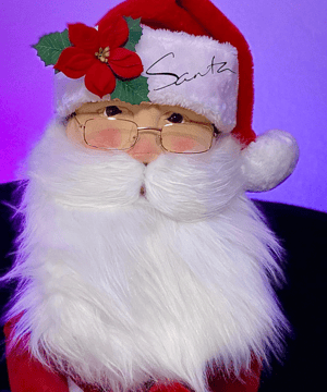Photo of Santa Claus (HO HO HO), click to book