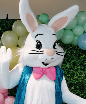 Photo of THE Easter Bunny, click to book