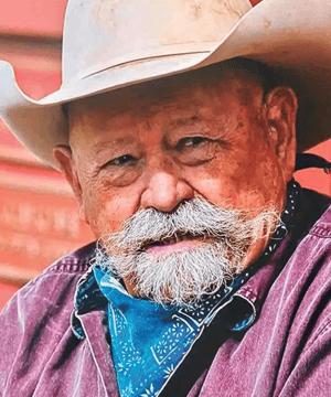 Photo of Barry Corbin, click to book