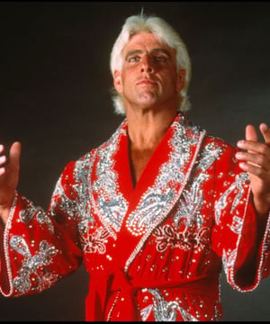 Photo of Ric Flair, click to book